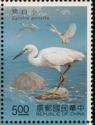 Little Egret (Egretta garzetta)