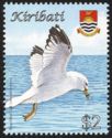 Ring-billed Gull (Larus delawarensis)
