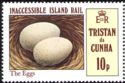 Inaccessible Island Rail (Atlantisia rogersi)