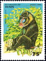 Mandrill (Mandrillus sphinx)