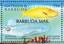 Goatfish and Cat Shark - Overprinted