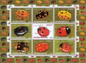 Beetles Lady Bugs