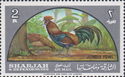 Red Junglefowl (Gallus gallus)