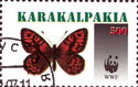 Butterflies WWF