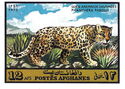 Leopard (Panthera pardus)
