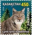 Turkestan Lynx (Lynx lynx isabellinus)