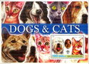 Dogs & Cats