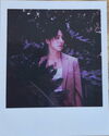 Heal album polaroid – version