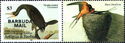 Double-crested Cormorant (Nannopterum auritum) - Overprinted