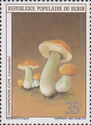 Boletus edible