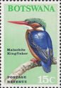Malachite Kingfisher (Corythornis cristata)