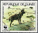 WWF - African Wild Dog (Lycaon pictus)