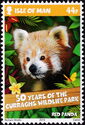 Himalayan Red Panda (Ailurus fulgens)