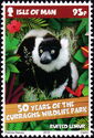 Black-and-white Ruffed Lemur (Varecia variegata)