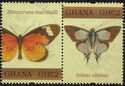 Butterfies of Africa