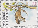 Gambian Epauletted Fruit Bat (Epomophorus gambianus)