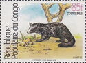 African Civet (Civettictis civetta)