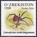European Black Widow (Latrodectus tredecimguttatus)