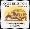 Horsfield's Tortoise (Testudo horsfieldii) 