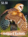 Barn Owl