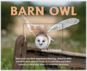 Barn Owl