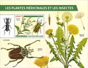 Medical Plants and Insects