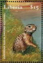 European Suslik Ground Squirrel