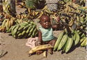 Baby with Bananas