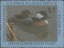 Hooded merganser