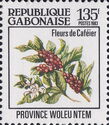 Coffee plant
