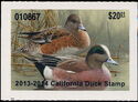 American wigeon (Mareca americana)