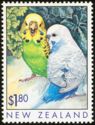 Two Budgerigars