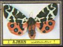 Garden Tiger Moth (Arctia caja)