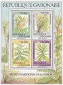 Medicinal Plants