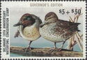 Green-winged teal (Anas carolinensis)