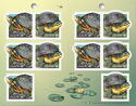 Endangered Turtles - Booklet pane