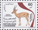 Cuvier's Gazelle (Gazella cuvieri), Chaambi Park