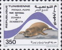 Mediterranean Monk Seal (Monachus monachus), Zembra and Zemb