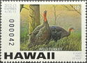 Wild turkey (Meleagris gallopavo)