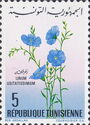 Linum usitatissimum