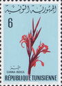 Canna Indica