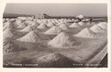 Pomorie Salt Pans