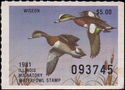 American wigeon (Anas americana)