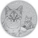 1 Onza (KOMSCO 70 years, Korean Shorthair Cat)