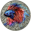 5 Dollars (Representatives of the Species - Betta Fish)