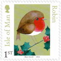 European Robin (Erithacus rubecula)