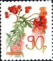 Rowanberry (Sorbus)