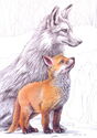 Fox and fox cub