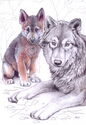 She-wolf and wolf cub