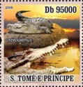 Blunt Crocodile (Osteolaemus Tetraspis)